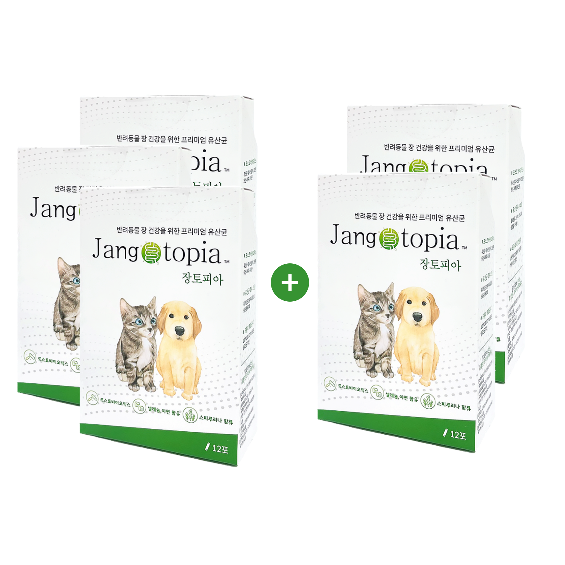 (3+2)장토피아 강아지유산균 고양이 영양제 프로바이오틱스 24g 12포